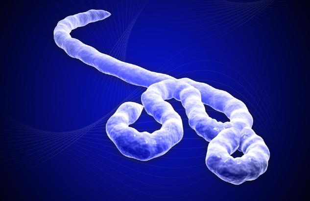 ebolavirus, ebola seuche unkontrollierbar oder nur eine show