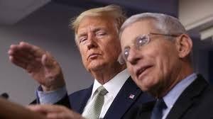 trump fauci hydroxychloroquin